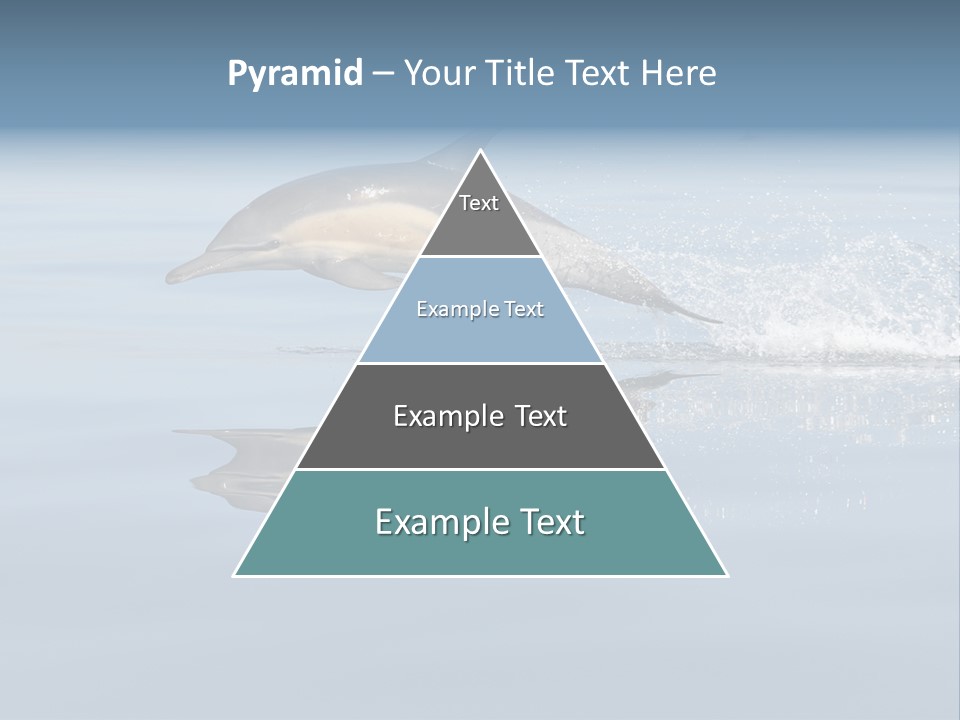 Bay Tourism Swimming PowerPoint Template