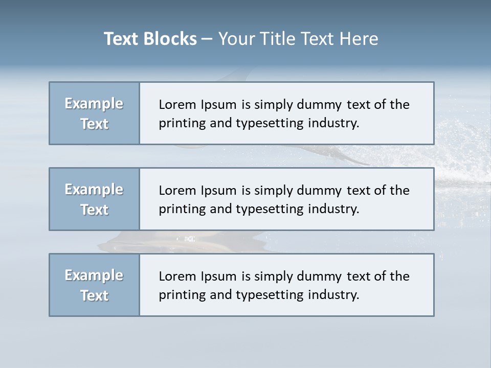 Bay Tourism Swimming PowerPoint Template