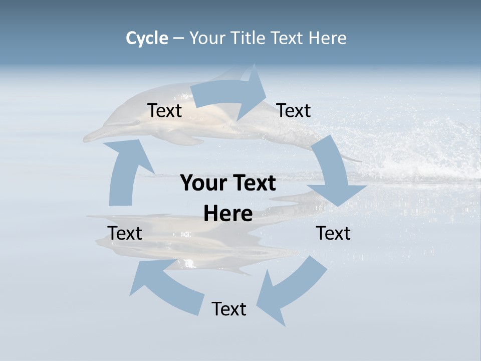 Bay Tourism Swimming PowerPoint Template