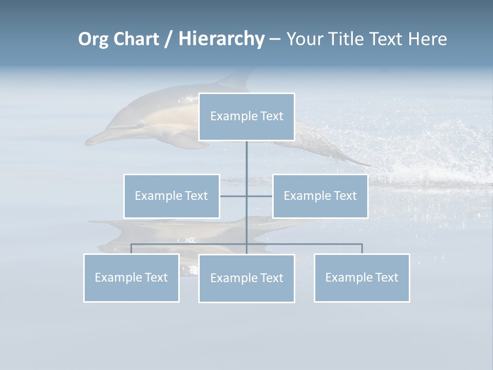 Bay Tourism Swimming PowerPoint Template