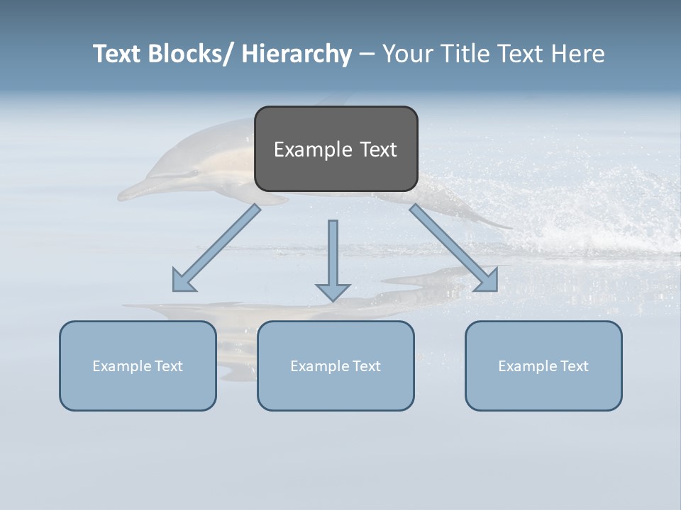 Bay Tourism Swimming PowerPoint Template
