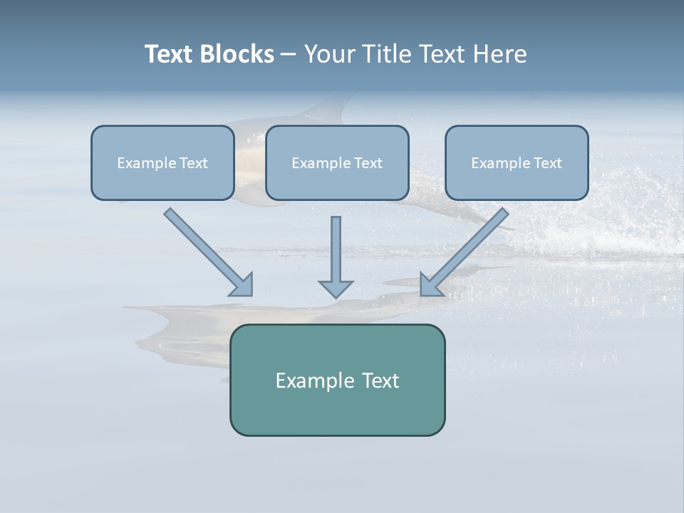 Bay Tourism Swimming PowerPoint Template