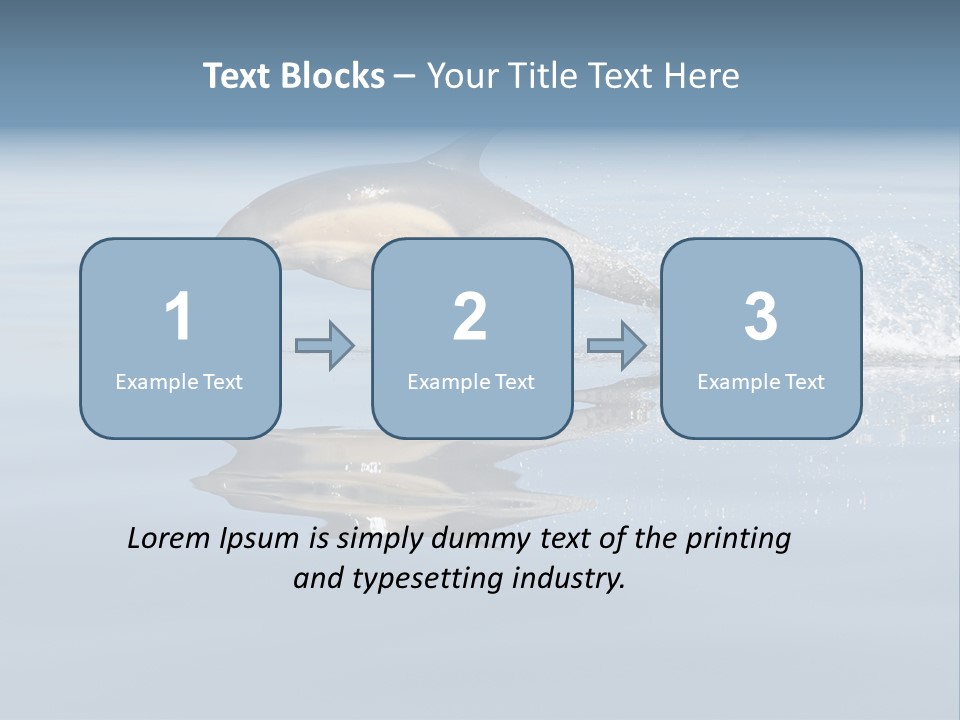 Bay Tourism Swimming PowerPoint Template