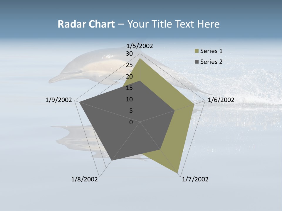 Bay Tourism Swimming PowerPoint Template