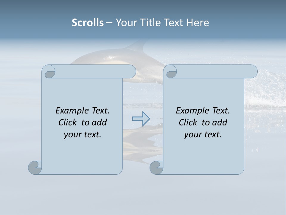 Bay Tourism Swimming PowerPoint Template