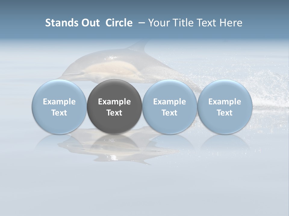 Bay Tourism Swimming PowerPoint Template