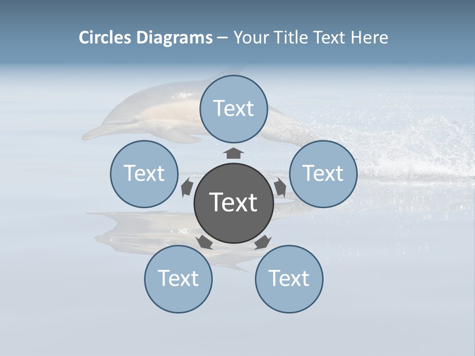 Bay Tourism Swimming PowerPoint Template