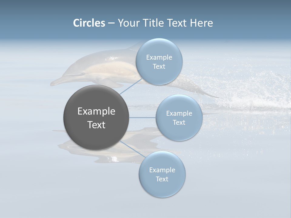 Bay Tourism Swimming PowerPoint Template