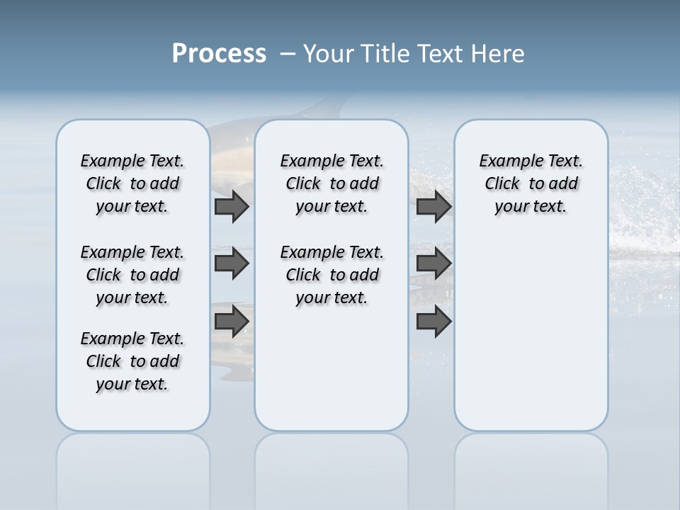 Bay Tourism Swimming PowerPoint Template