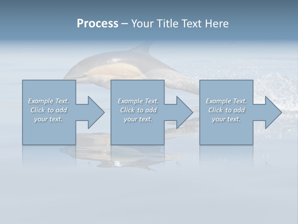Bay Tourism Swimming PowerPoint Template