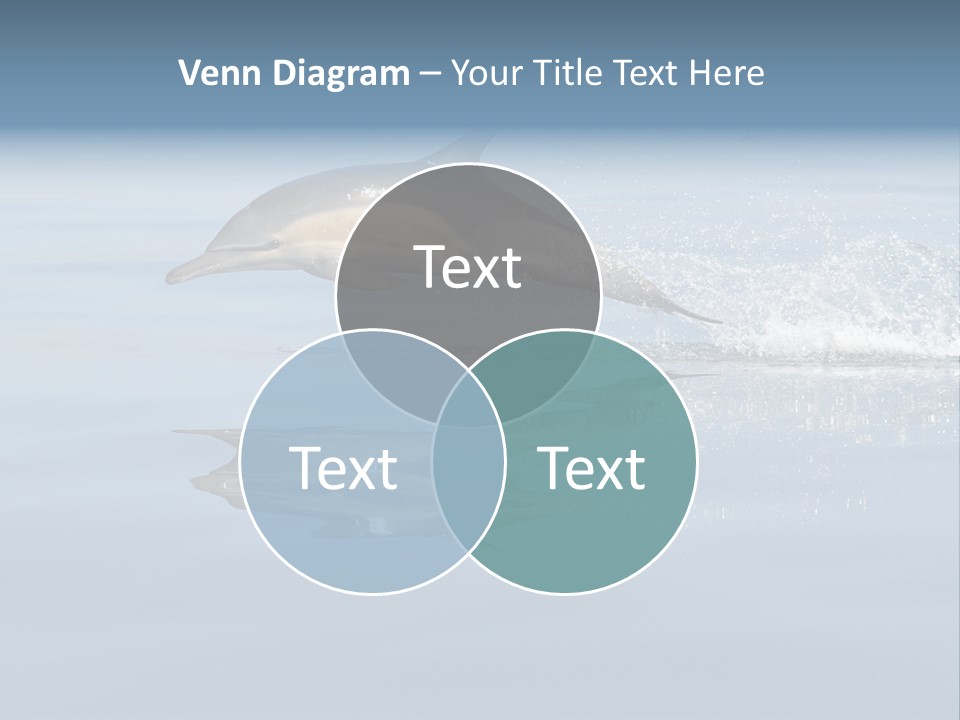 Bay Tourism Swimming PowerPoint Template