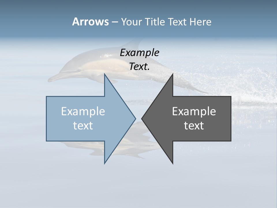 Bay Tourism Swimming PowerPoint Template