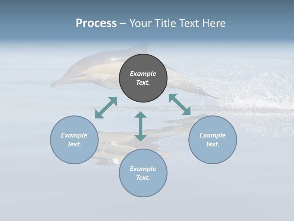 Bay Tourism Swimming PowerPoint Template