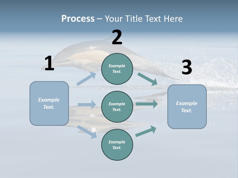 Bay Tourism Swimming PowerPoint Template
