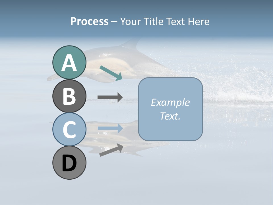 Bay Tourism Swimming PowerPoint Template