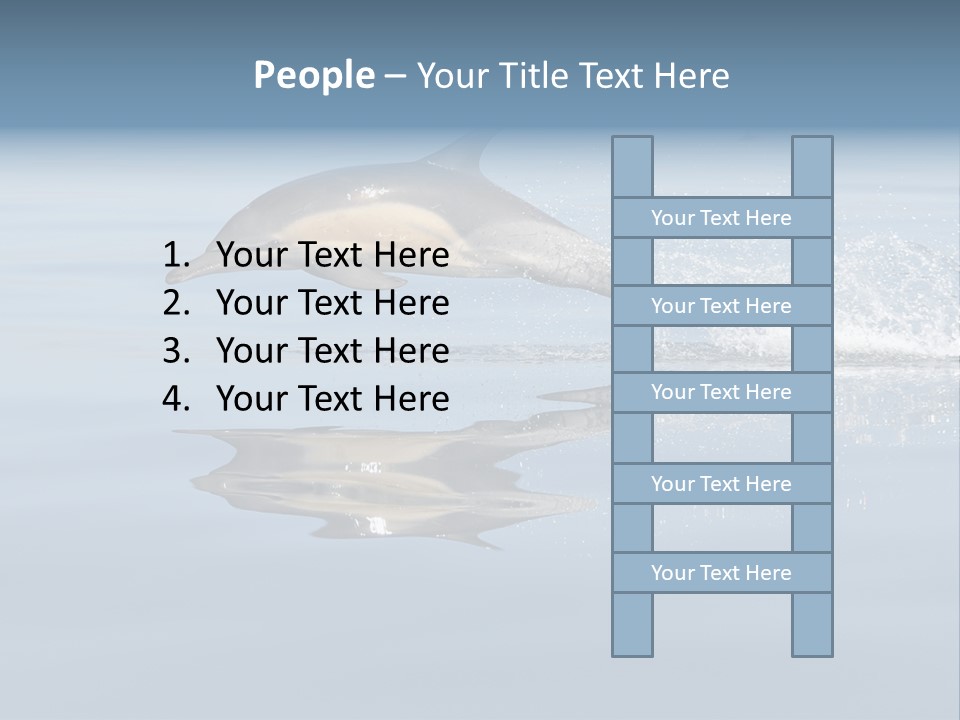 Bay Tourism Swimming PowerPoint Template