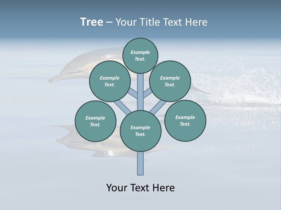 Bay Tourism Swimming PowerPoint Template