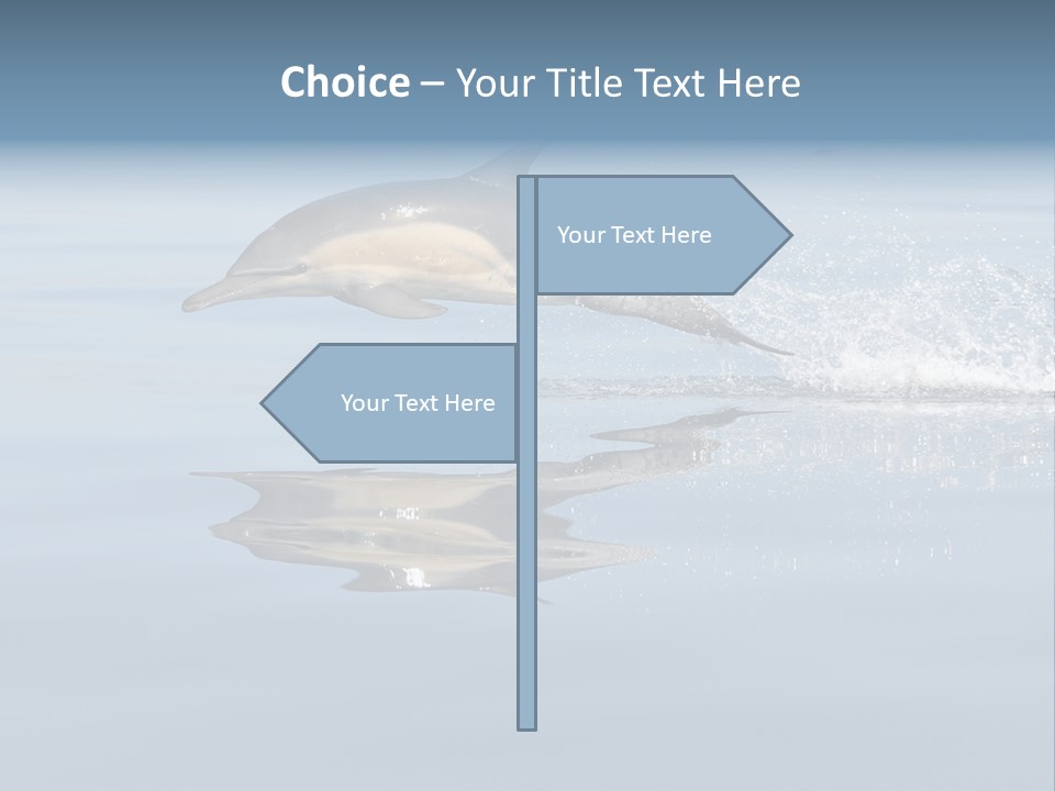 Bay Tourism Swimming PowerPoint Template