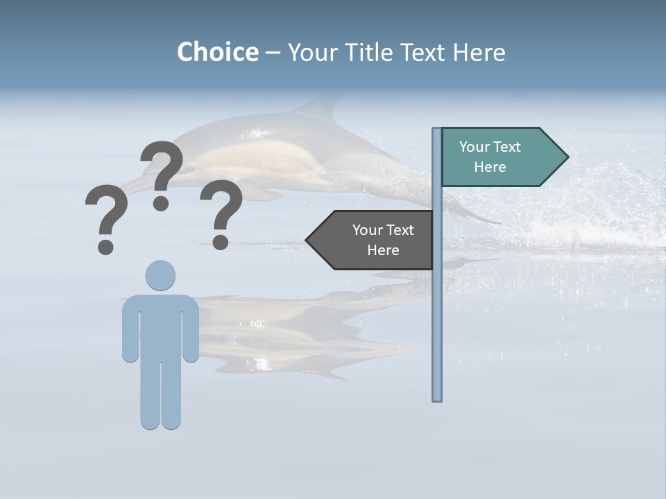 Bay Tourism Swimming PowerPoint Template