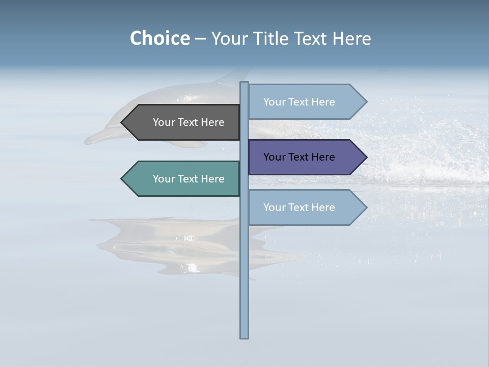 Bay Tourism Swimming PowerPoint Template