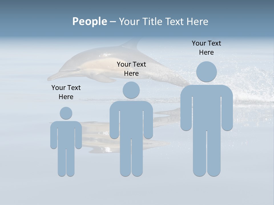 Bay Tourism Swimming PowerPoint Template