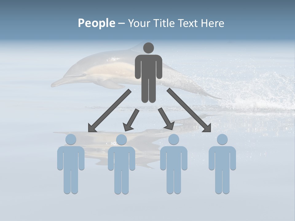 Bay Tourism Swimming PowerPoint Template