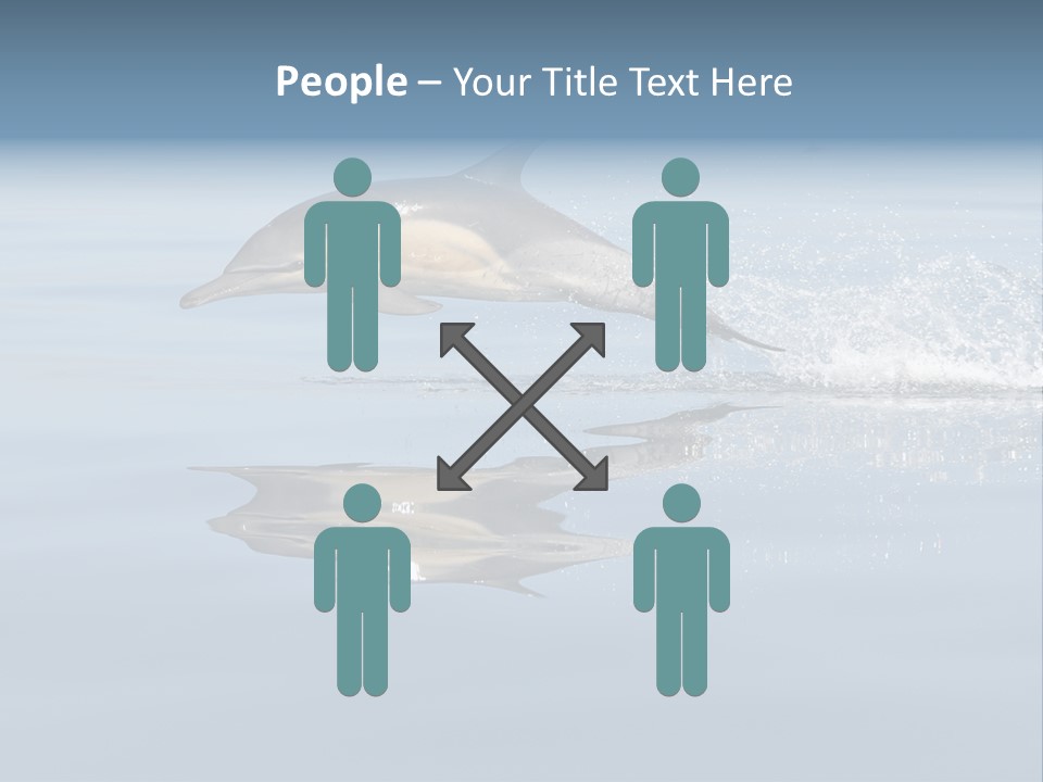 Bay Tourism Swimming PowerPoint Template