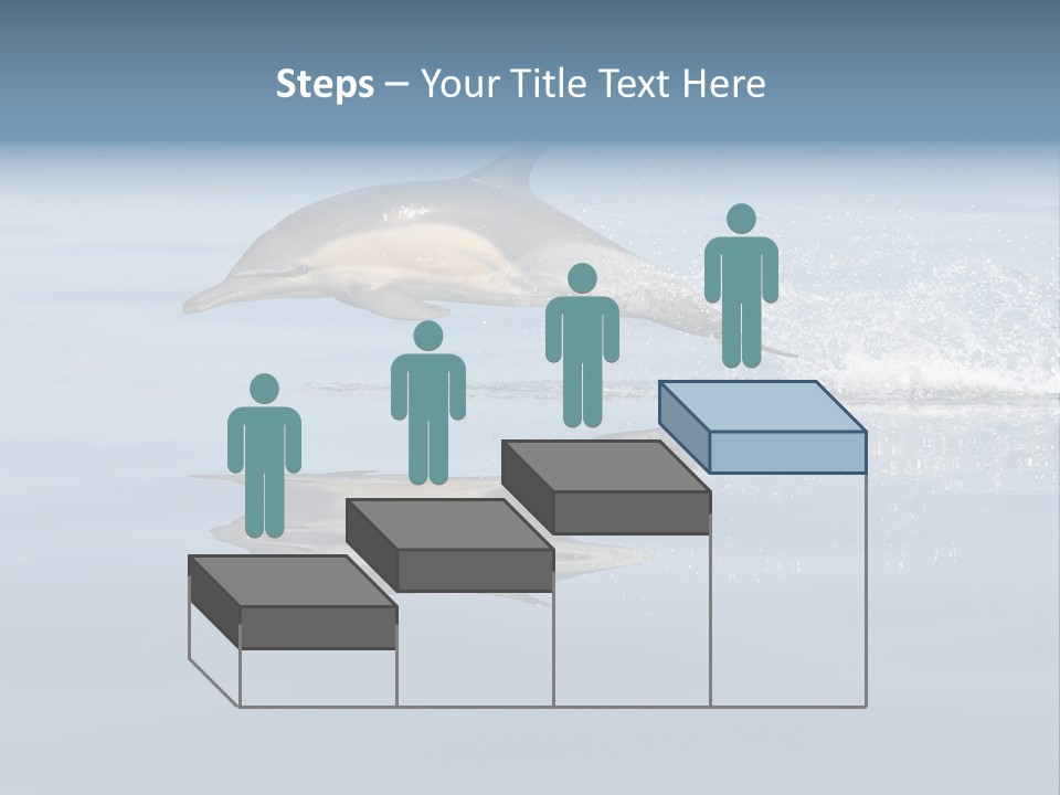 Bay Tourism Swimming PowerPoint Template