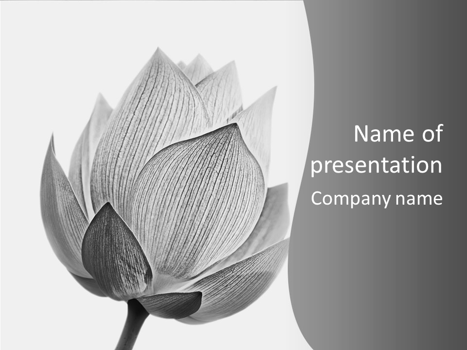 Natural Macro Tropical PowerPoint Template