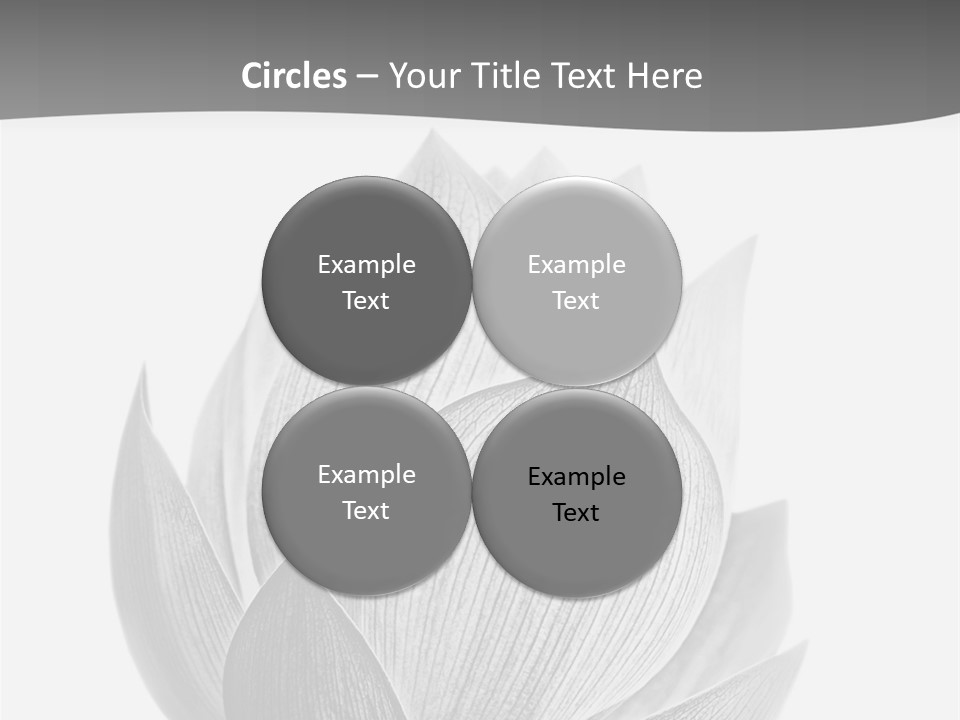 Natural Macro Tropical PowerPoint Template