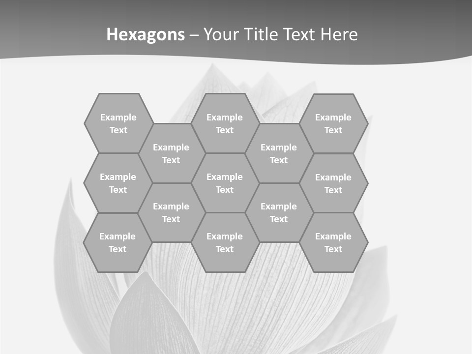 Natural Macro Tropical PowerPoint Template