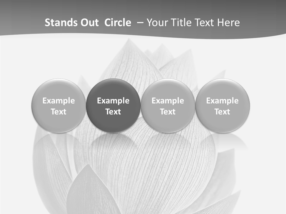 Natural Macro Tropical PowerPoint Template