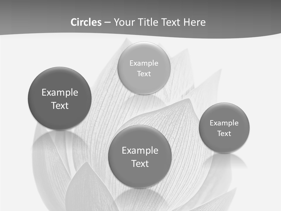 Natural Macro Tropical PowerPoint Template