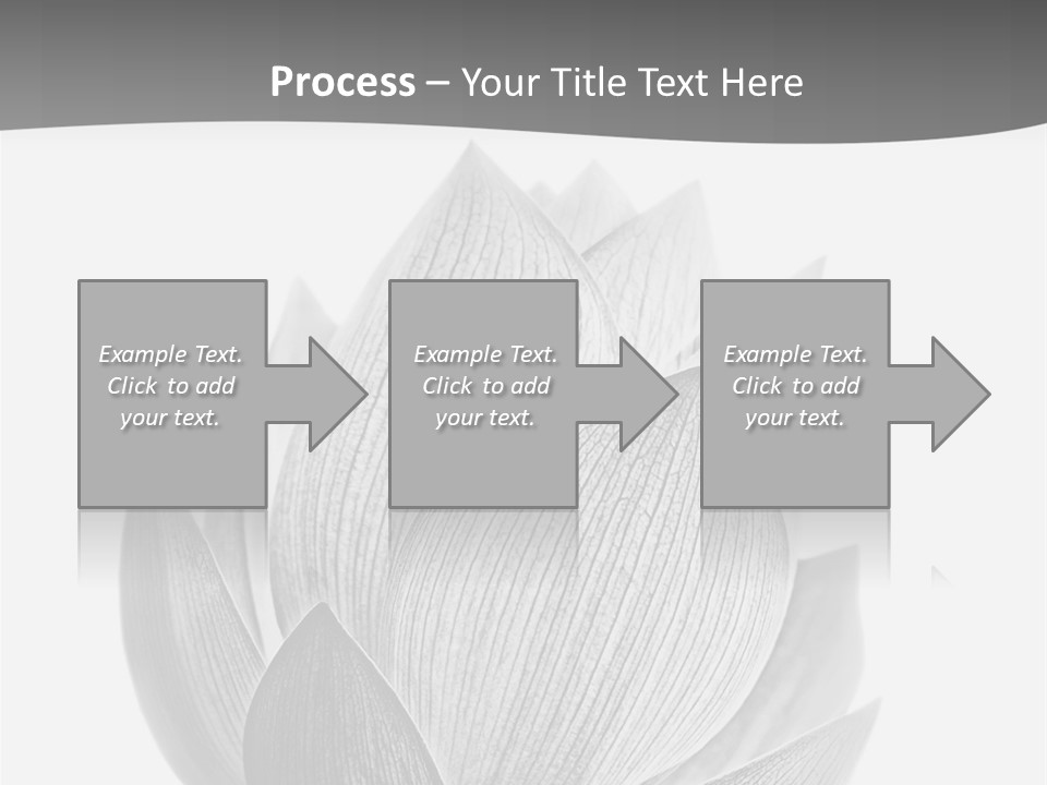 Natural Macro Tropical PowerPoint Template