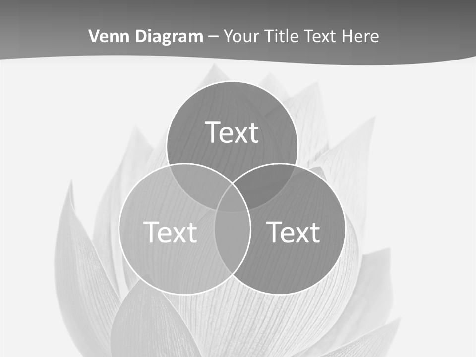 Natural Macro Tropical PowerPoint Template