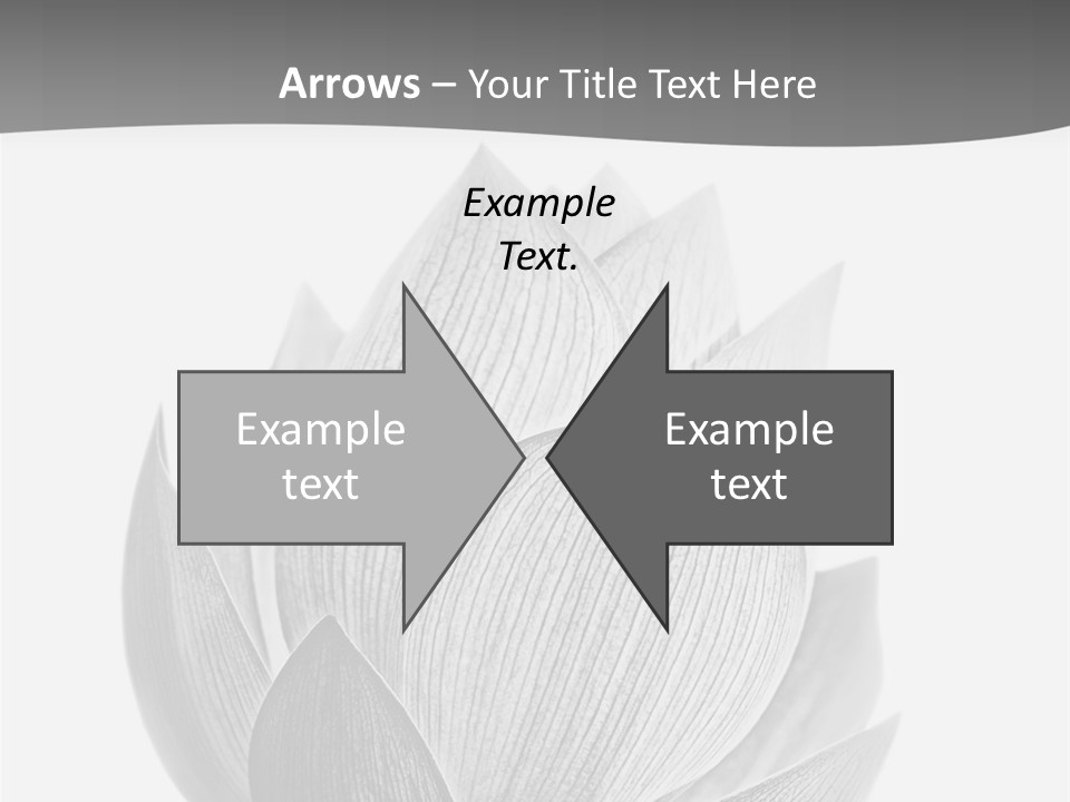 Natural Macro Tropical PowerPoint Template