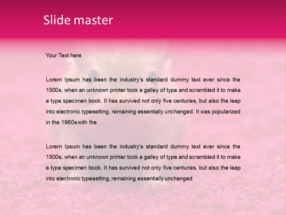 A Hamster Is Sitting On A Pink Carpet PowerPoint Template