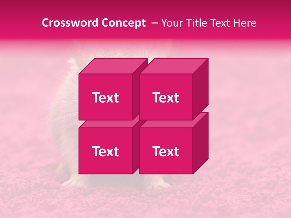 A Hamster Is Sitting On A Pink Carpet PowerPoint Template