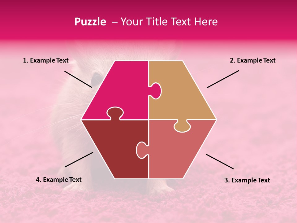 A Hamster Is Sitting On A Pink Carpet PowerPoint Template
