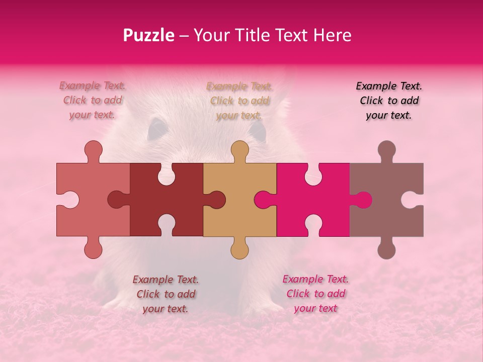 A Hamster Is Sitting On A Pink Carpet PowerPoint Template