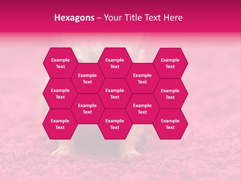 A Hamster Is Sitting On A Pink Carpet PowerPoint Template