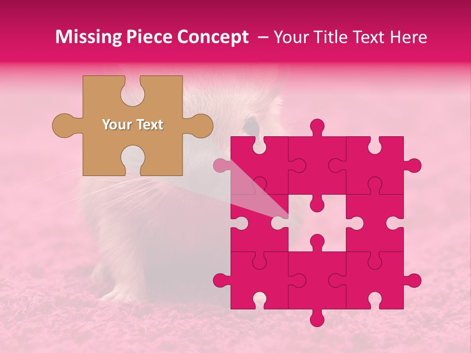 A Hamster Is Sitting On A Pink Carpet PowerPoint Template
