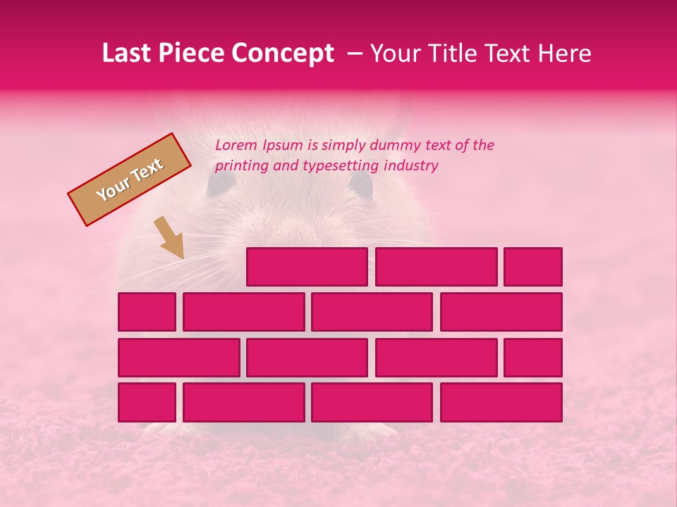 A Hamster Is Sitting On A Pink Carpet PowerPoint Template