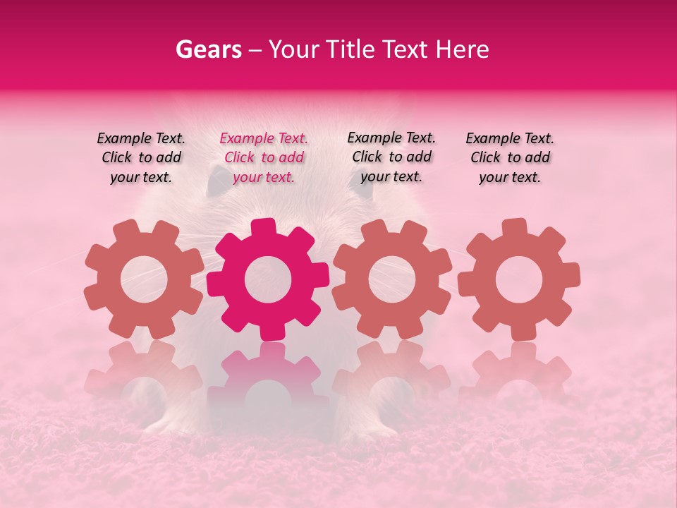 A Hamster Is Sitting On A Pink Carpet PowerPoint Template