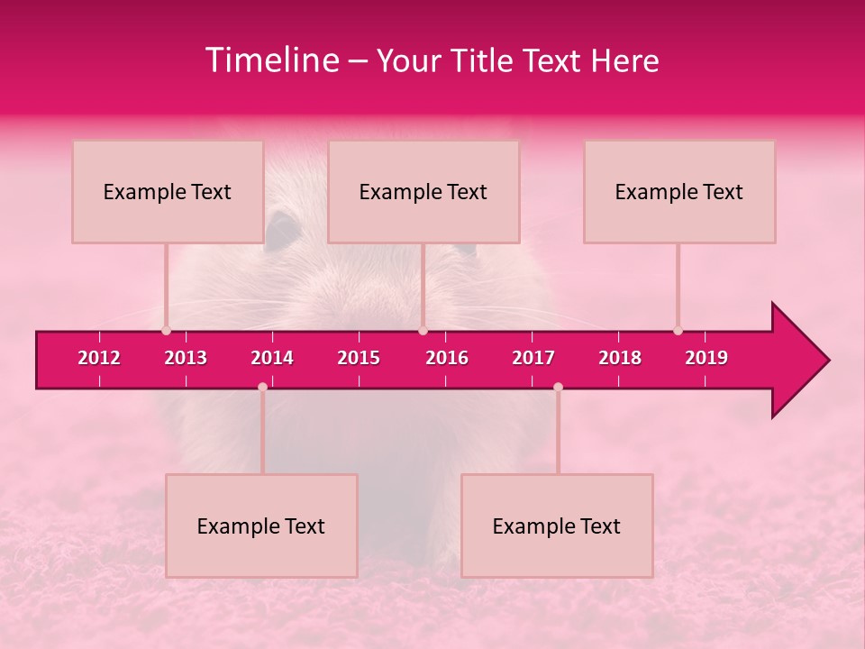 A Hamster Is Sitting On A Pink Carpet PowerPoint Template