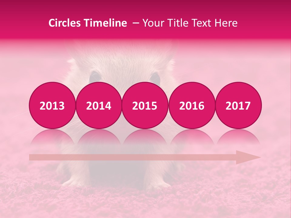 A Hamster Is Sitting On A Pink Carpet PowerPoint Template