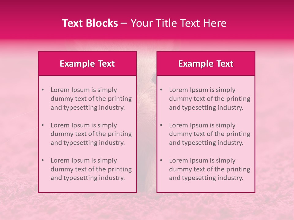 A Hamster Is Sitting On A Pink Carpet PowerPoint Template