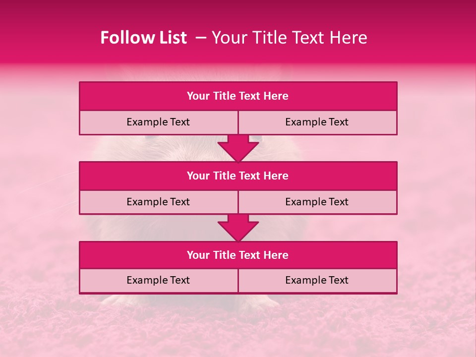 A Hamster Is Sitting On A Pink Carpet PowerPoint Template