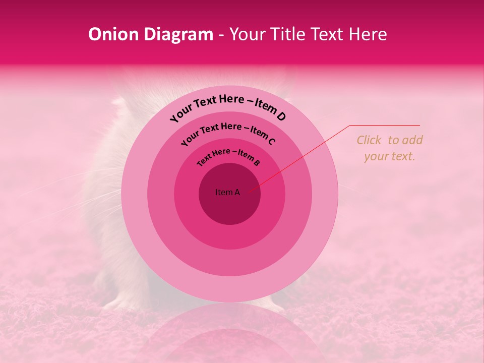 A Hamster Is Sitting On A Pink Carpet PowerPoint Template