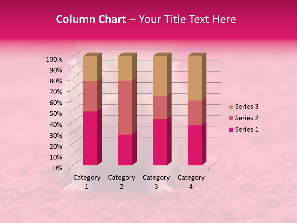 A Hamster Is Sitting On A Pink Carpet PowerPoint Template